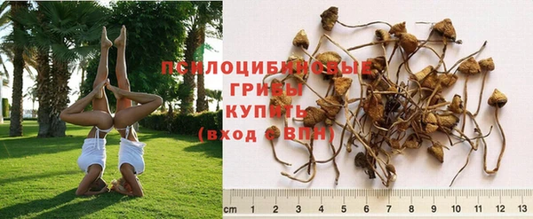 прущий лед Зерноград